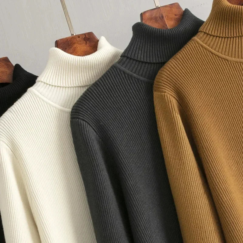 Celina Turtle Neck Dress