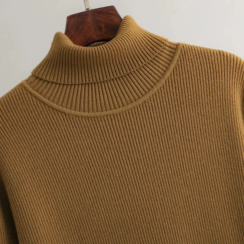 Celina Turtle Neck Dress