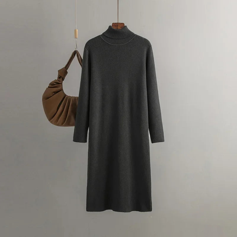 Celina Turtle Neck Dress
