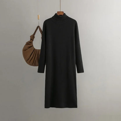 Celina Turtle Neck Dress