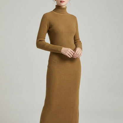Celina Turtle Neck Dress